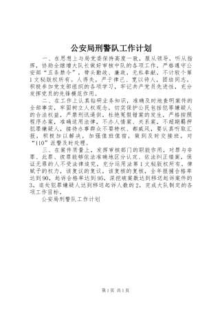 2024年公安局刑警队工作计划