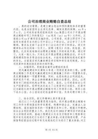 2024年公司治理商业贿赂自查总结