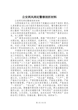 2024年公安两风两纪警察剖析材料