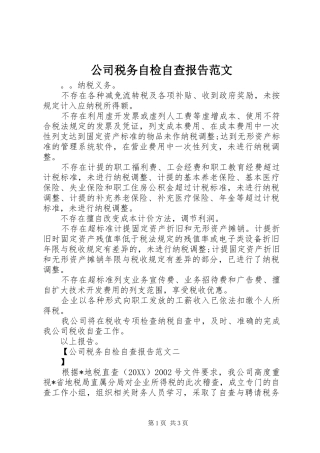 2024年公司税务自检自查报告范文