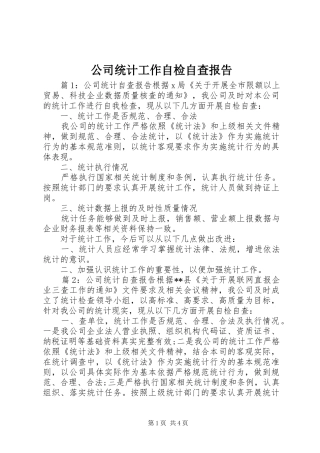 2024年公司统计工作自检自查报告