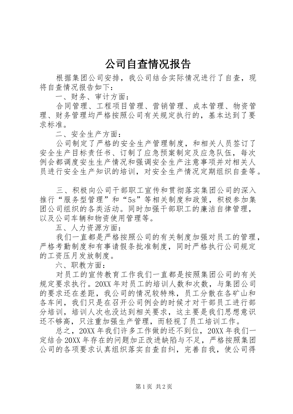 2024年公司自查情况报告_第1页