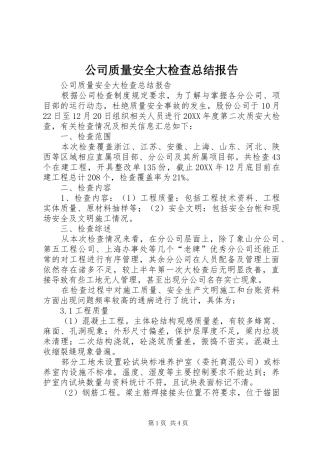 2024年公司质量安全大检查总结报告