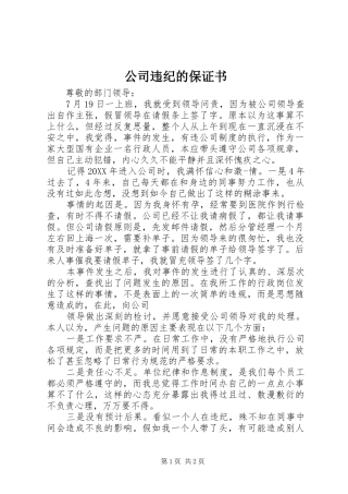 2024年公司违纪的保证书