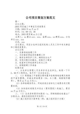 2024年公司项目策划方案范文