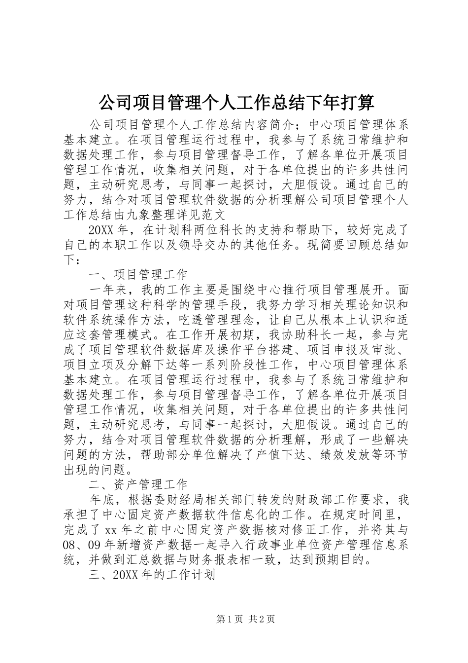 2024年公司项目管理个人工作总结下年打算_第1页