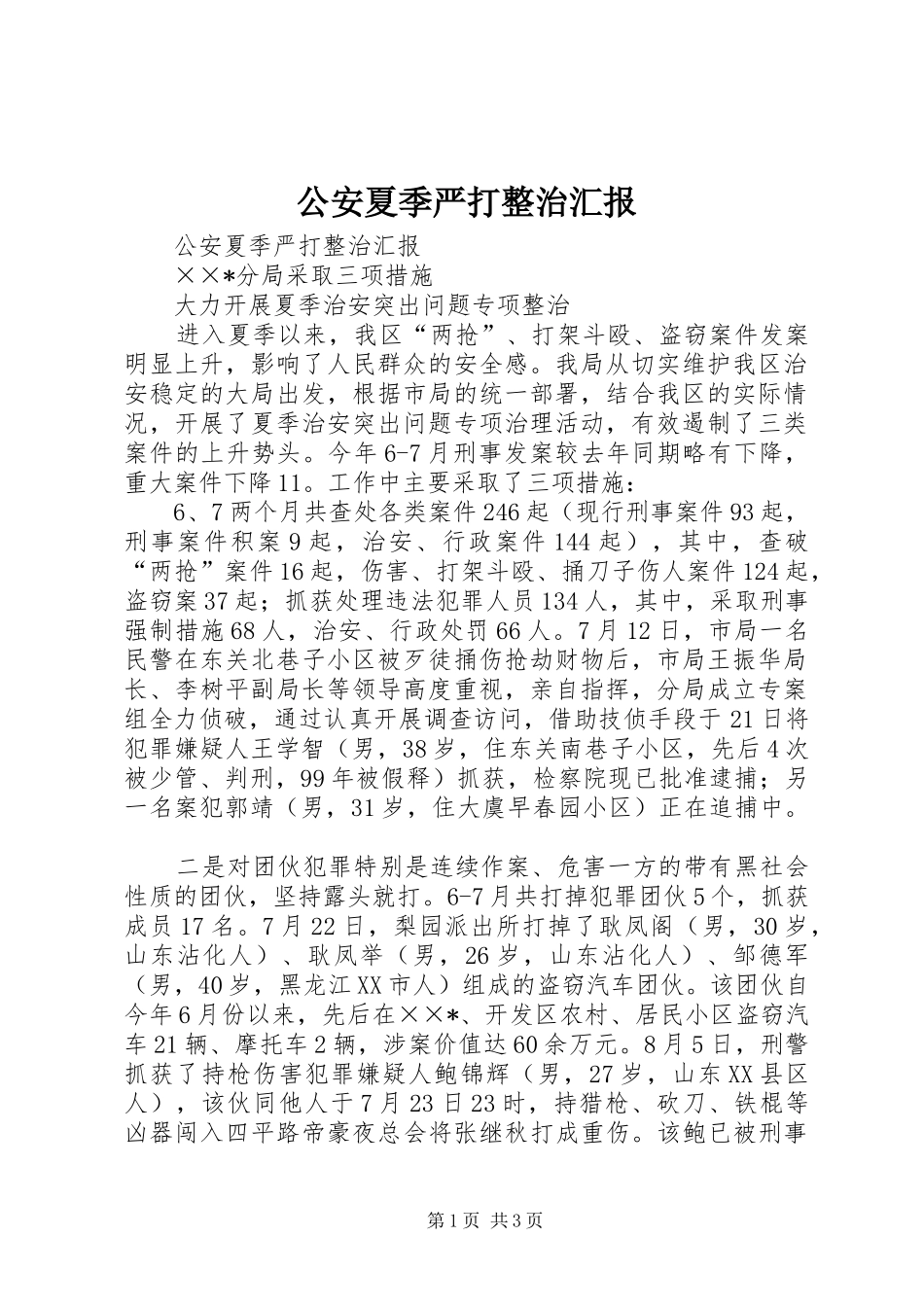 2024年公安夏季严打整治汇报_第1页