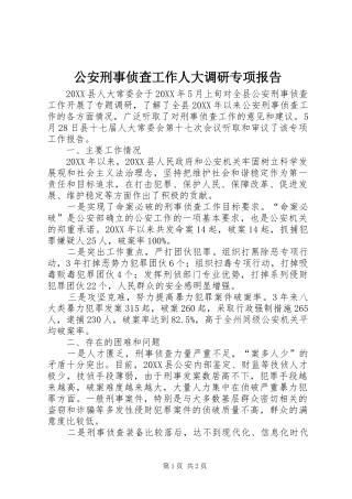 2024年公安刑事侦查工作人大调研专项报告