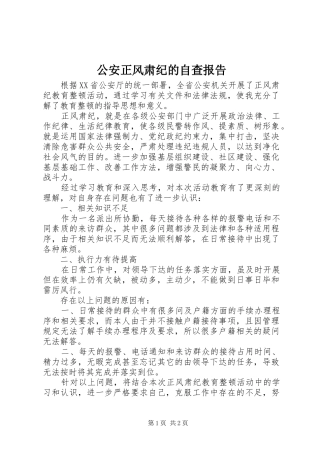 2024年公安正风肃纪的自查报告