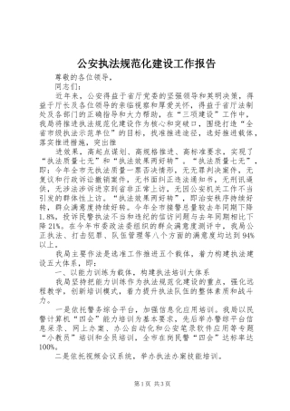 2024年公安执法规范化建设工作报告