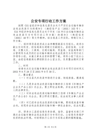 2024年公安专项行动工作方案