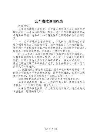 2024年公车腐败调研报告