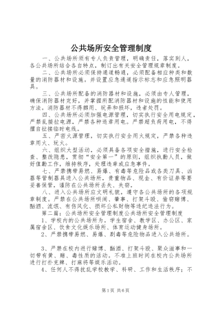 2024年公共场所安全管理制度
