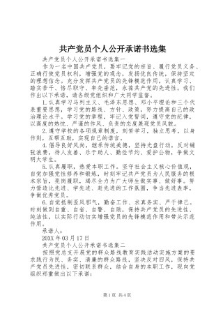 2024年共产党员个人公开承诺书选集