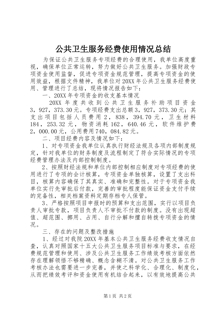 2024年公共卫生服务经费使用情况总结_第1页