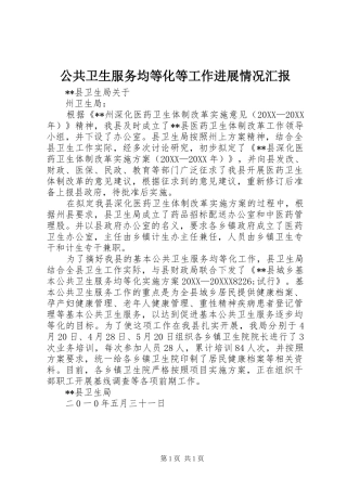 2024年公共卫生服务均等化等工作进展情况汇报