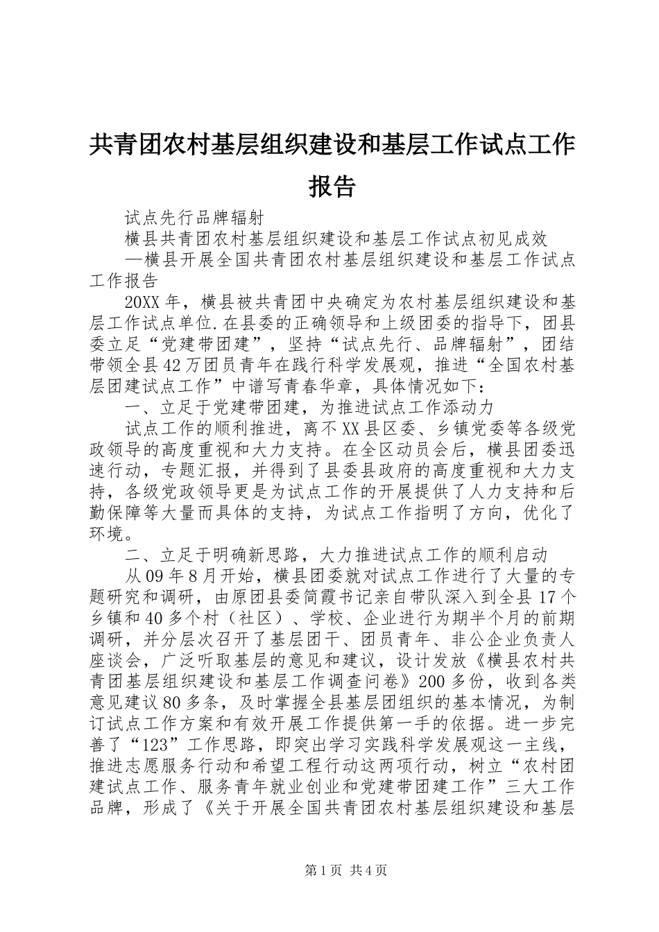 2024年共青团农村基层组织建设和基层工作试点工作报告_第1页