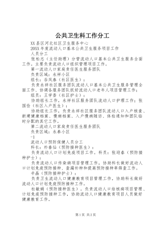 2024年公共卫生科工作分工