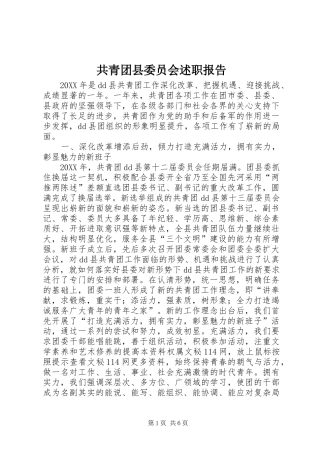 2024年共青团县委员会述职报告