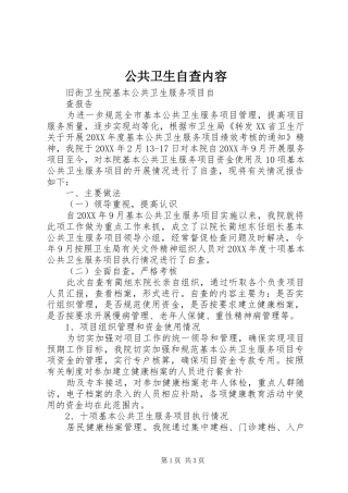 2024年公共卫生自查内容