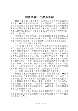 2024年共青团委工作要点总结