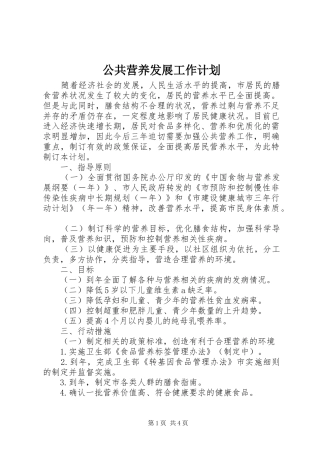 2024年公共营养发展工作计划