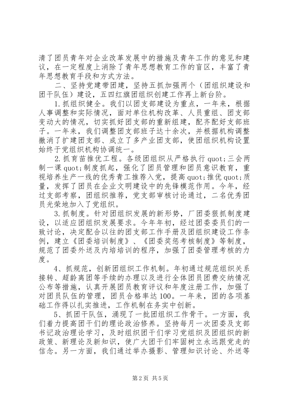 2024年共青团扶贫工作经验总结_第2页