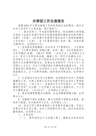2024年共青团工作自查报告
