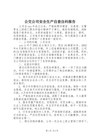 2024年公交公司安全生产自查自纠报告