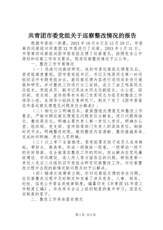 2024年共青团市委党组关于巡察整改情况的报告