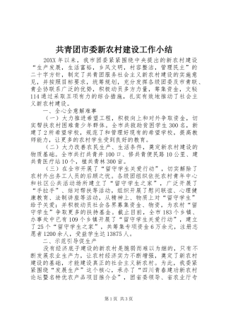 2024年共青团市委新农村建设工作小结