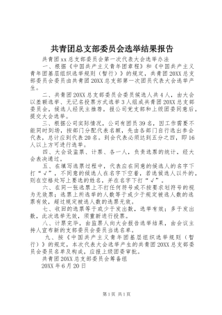 2024年共青团总支部委员会选举结果报告