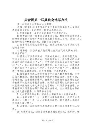 2024年共青团第一届委员会选举办法