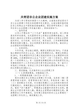 2024年共青团非公企业团建实施方案