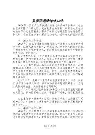 2024年共青团老龄年终总结
