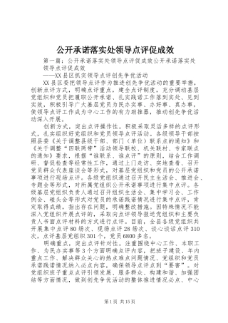 2024年公开承诺落实处领导点评促成效