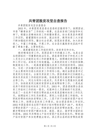 2024年共青团脱贫攻坚自查报告