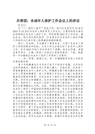 2024年共青团未成年人保护工作会议上的致辞