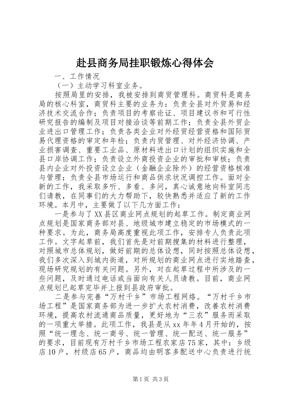 2024年赴县商务局挂职锻炼心得体会_第1页