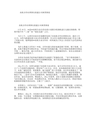 农机合作社理事长组建公司典型事迹