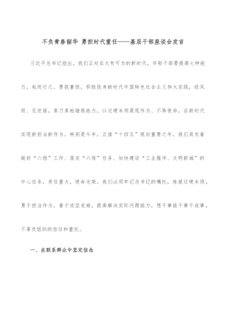不负青春韶华 勇担时代重任——基层干部座谈会发言
