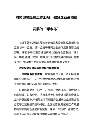 财务部总经理工作汇报：做好企业高质量发展的“啄木鸟”