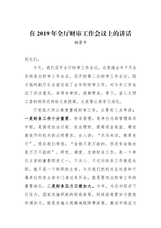 杨贵平：在2019年全厅财审工作会议上的讲话_转换