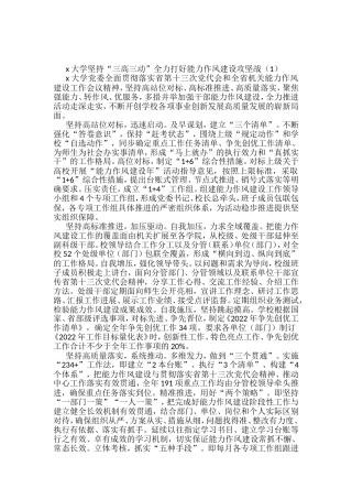 大学能力作风建设年工作经验材料范文8篇（高校）