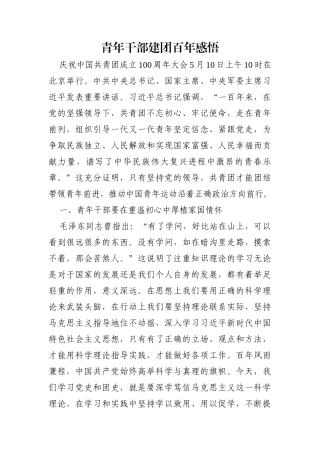 党办：青年干部建团百年感悟