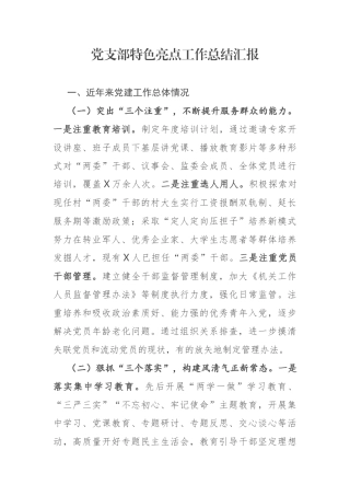 党支部特色亮点工作总结汇报