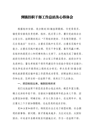 到镇挂职干部工作总结及心得体会