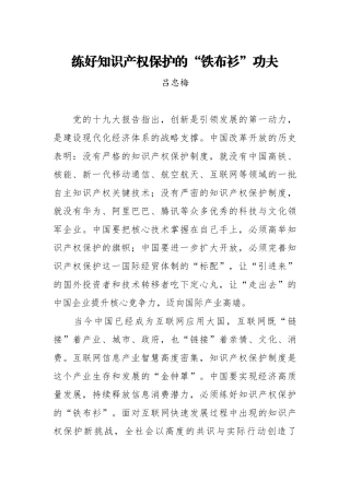 第十三届全国政协常委吕忠梅：练好知识产权保护的“铁布衫”功夫