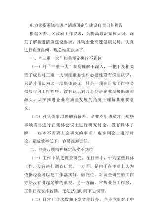 电力党委围绕推进“清廉国企”建设自查自纠报告
