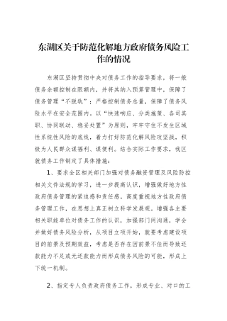 东湖区关于防范化解地方政府债务风险工作的情况_转换